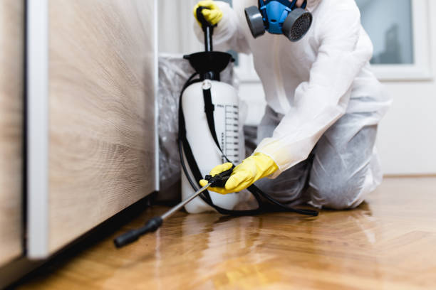 Flea Control Services in Noank, CT