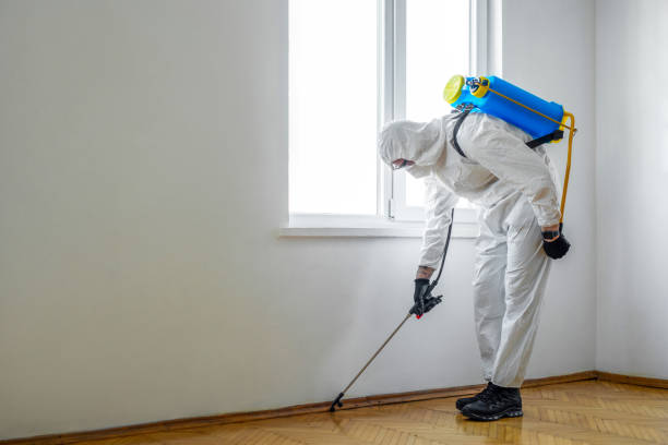 Best Emergency Pest Control  in Noank, CT