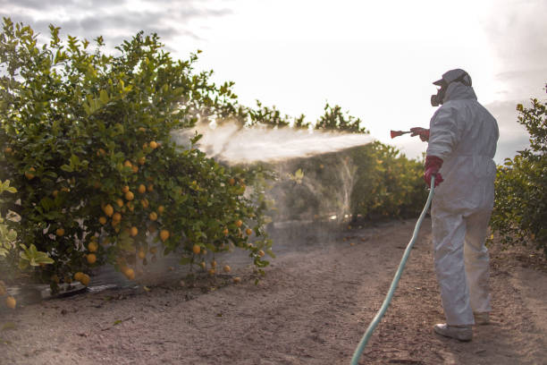 Best Bed Bug Extermination  in Noank, CT