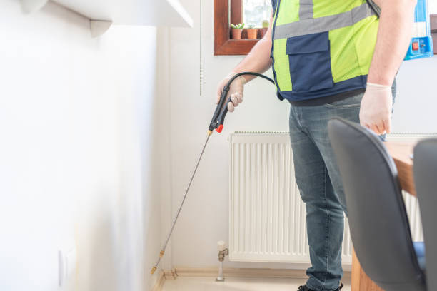 Best Wasp Removal Services  in Noank, CT