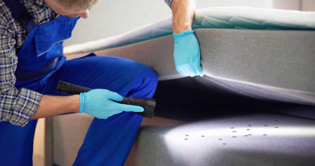 Best Best Pest Control Companies  in Noank, CT