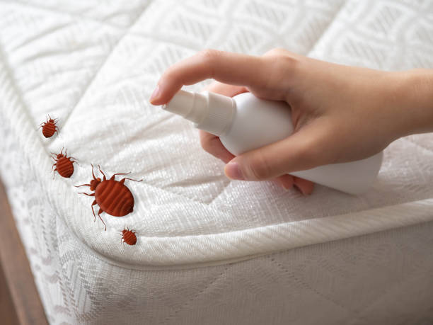 Best Cockroach Control Services  in Noank, CT