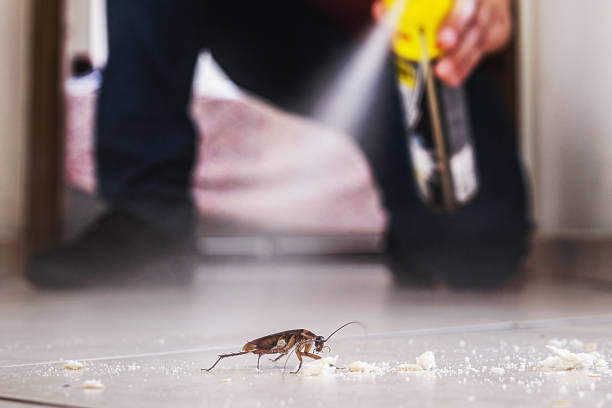 Best Mosquito Control Services  in Noank, CT