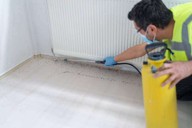 Best Pest Removal Services  in Noank, CT
